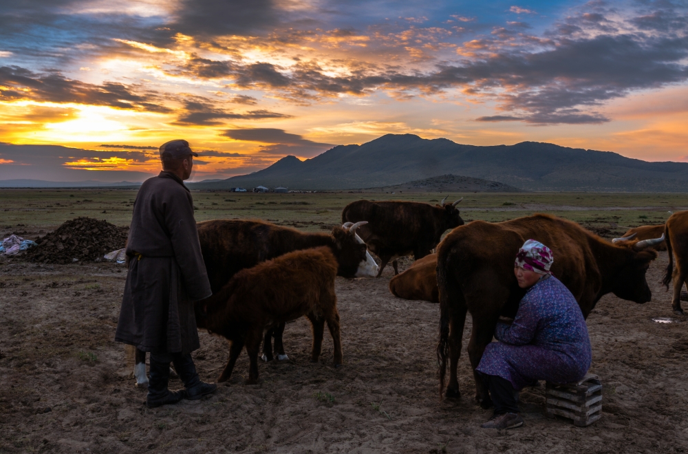 夕方の内モンゴル草原
